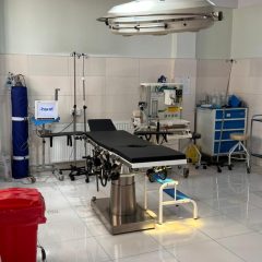 Spinning Up Multiple WordPress Sites Locally With DevKinsta